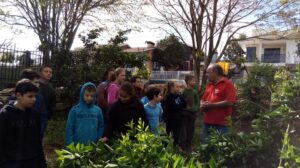 Read more about the article Rede municipal de ensino de Ipuaçu realiza Semana Verde com os alunos