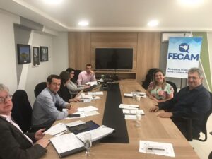 Read more about the article Diretoria da FECAM debate assuntos prioritários dos municípios