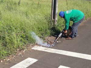 Read more about the article Serviço de fumigação e dedetização é realizado no centro, bairros e ESFs