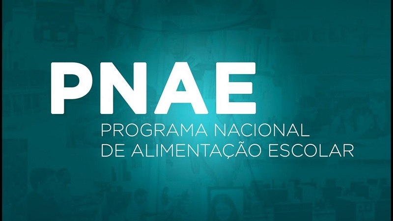 Read more about the article Pnae: gestores devem fazer prestação de contas de 2018