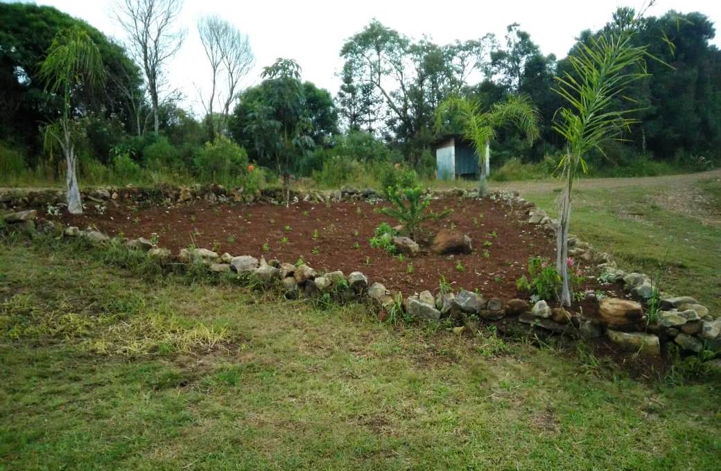 You are currently viewing Cerca de 100 estudantes vão cultivar hortas em projeto social realizado em Passos Maia