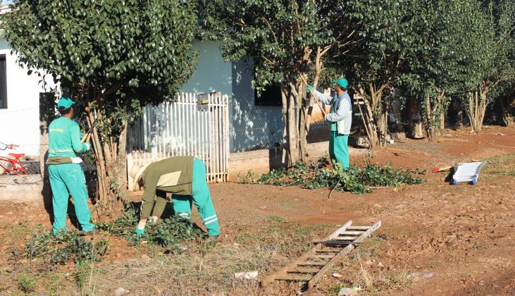 Read more about the article Secretaria de Agricultura e Meio Ambiente inicia poda das árvores no centro e bairros