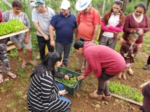 Read more about the article Secretaria de Agricultura entrega mudas de hortaliças, chás e temperos às hortas comunitárias