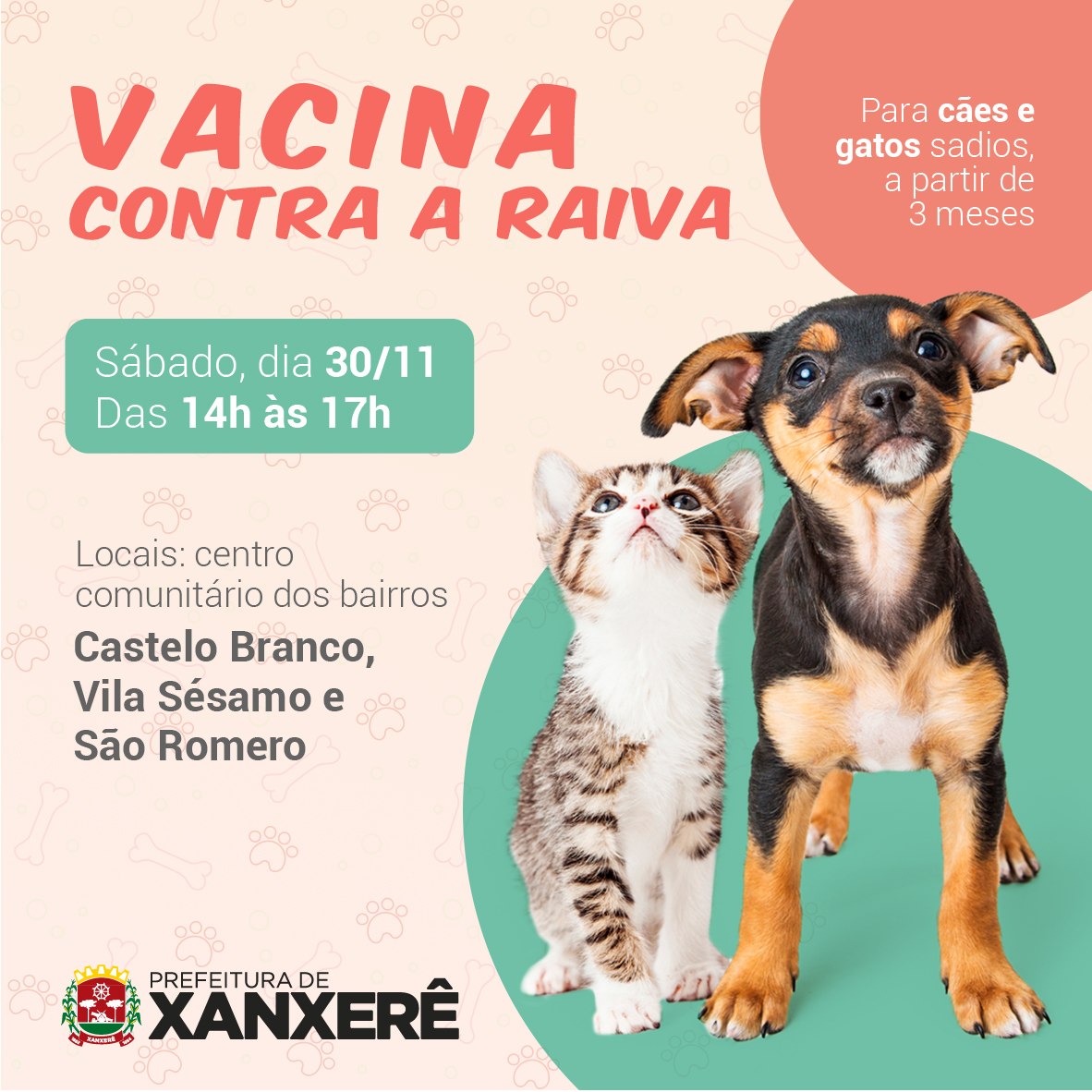 Read more about the article Controle de Zoonoses promove vacinação contra Raiva
