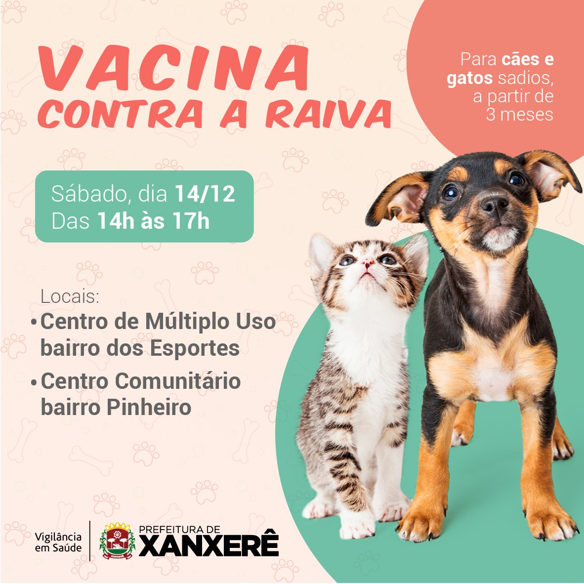 Read more about the article Controle de Zoonoses promove vacinação contra raiva neste sábado