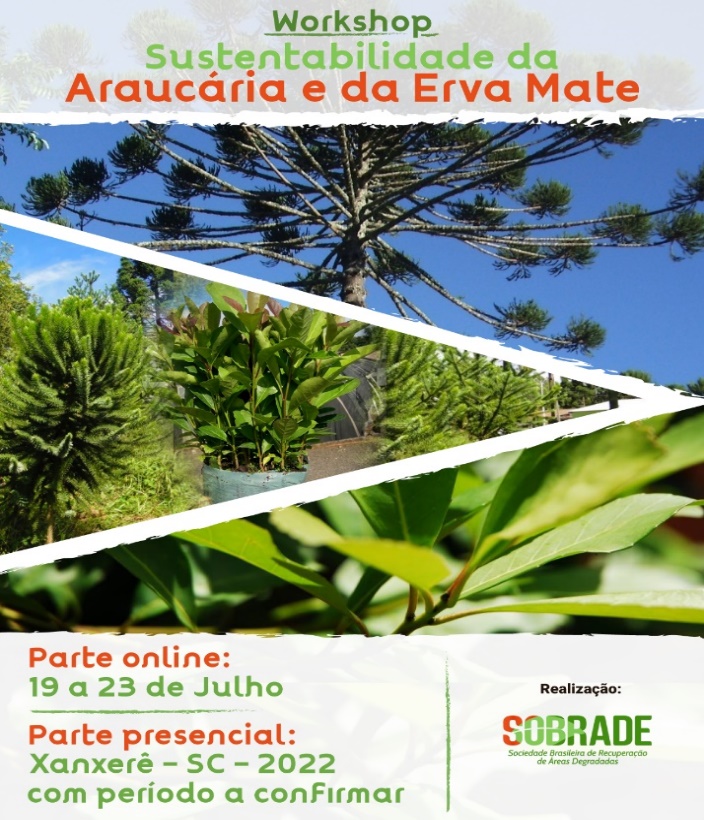 You are currently viewing Seminário debaterá sustentabilidade da Araucária e da Erva-mate